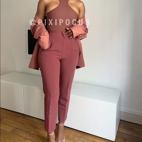 Zara | Pants u0026 Jumpsuits | Nwt Zara High Waisted Pleated Pants Marsala Pink  | Poshmark
